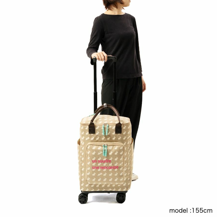 ESSENCE OF POISON 保冷ショッピングカート ナイロンツイル BKA-3205